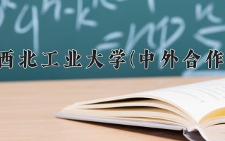 2025年西北工业大学(中外合作)在四川计划招生人数（附学费及专业录取分)