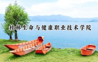 桂林生命与健康职业技术学院2024在青海录取分数线是多少？最低241分/最高266分