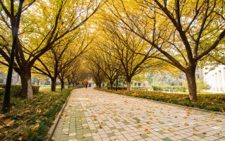 高考志愿填报遇到的这些问题，滑档、被退档、专业不满意、如何选择院校该怎么办？